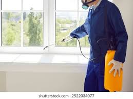 Bed Bug Treatment